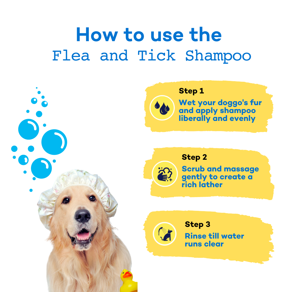 The Good Paws Tick Tick Boop | Flea & Tick Dog Shampoo | Relieves Itching & Dryness | All Natural Eucalyptus & Lemongrass Oil | Dog Shampoo For Golden Retrievers, Labrador | Itch Relief Shampoo | Eucalyptus (Allergen Free) 250 ml