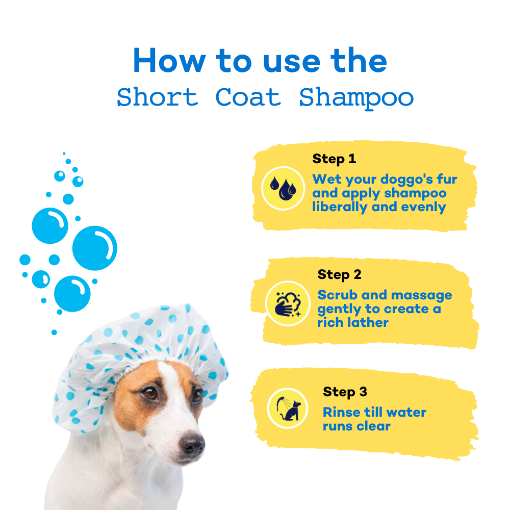 The Good Paws FRESSSSH AF SHORT COAT Dog Shampoo | Smoothes Skin & Coat | Dog shampoo For Beagle, Labrador, Great Dane | All Natural Jojoba & Castor Oil | Pet Shampoo for Dogs & Cats | Coconut Mint (Allergen Free) 250 ml
