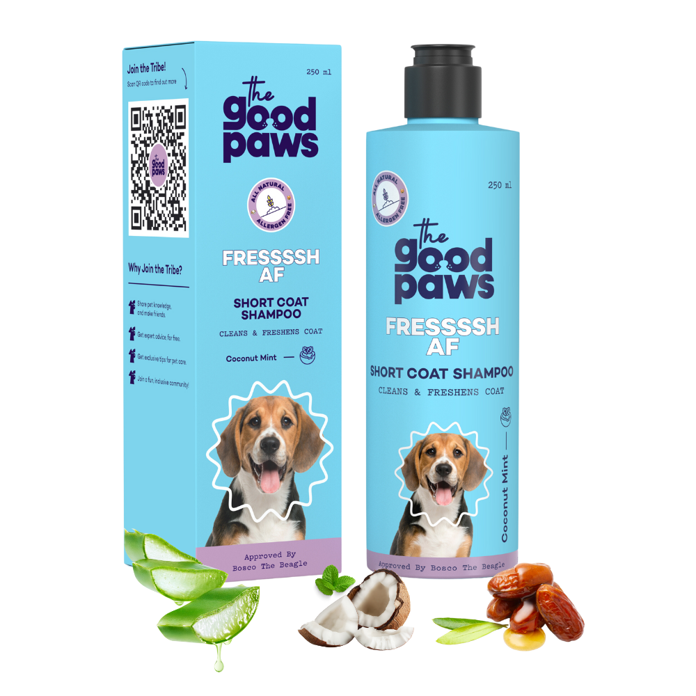The Good Paws FRESSSSH AF SHORT COAT Dog Shampoo | Smoothes Skin & Coat | Dog shampoo For Beagle, Labrador, Great Dane | All Natural Jojoba & Castor Oil | Pet Shampoo for Dogs & Cats | Coconut Mint (Allergen Free) 250 ml