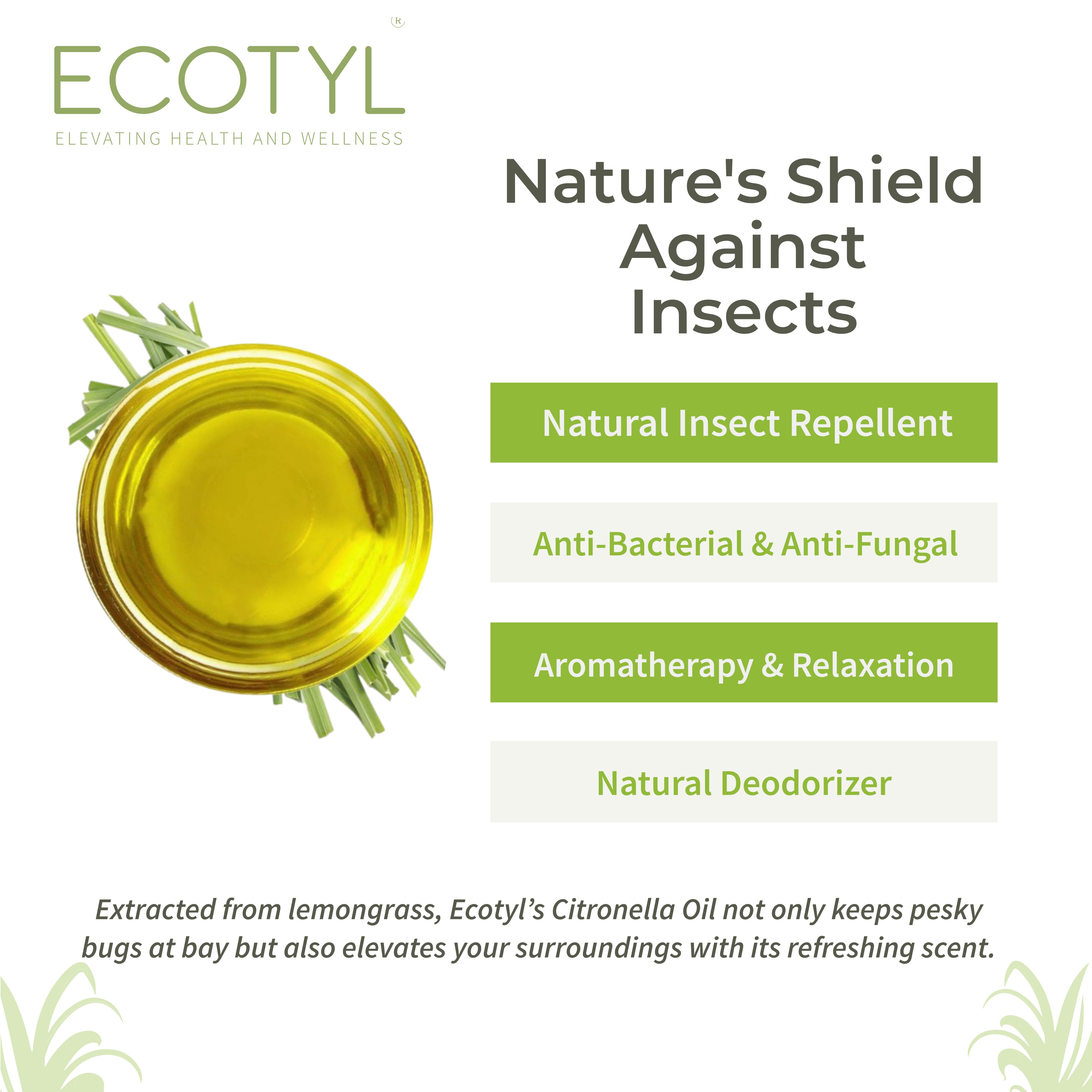 Ecotyl Citronella Oil | Natural Mosquito & Insect Repellent | Toxin Free | 100ml