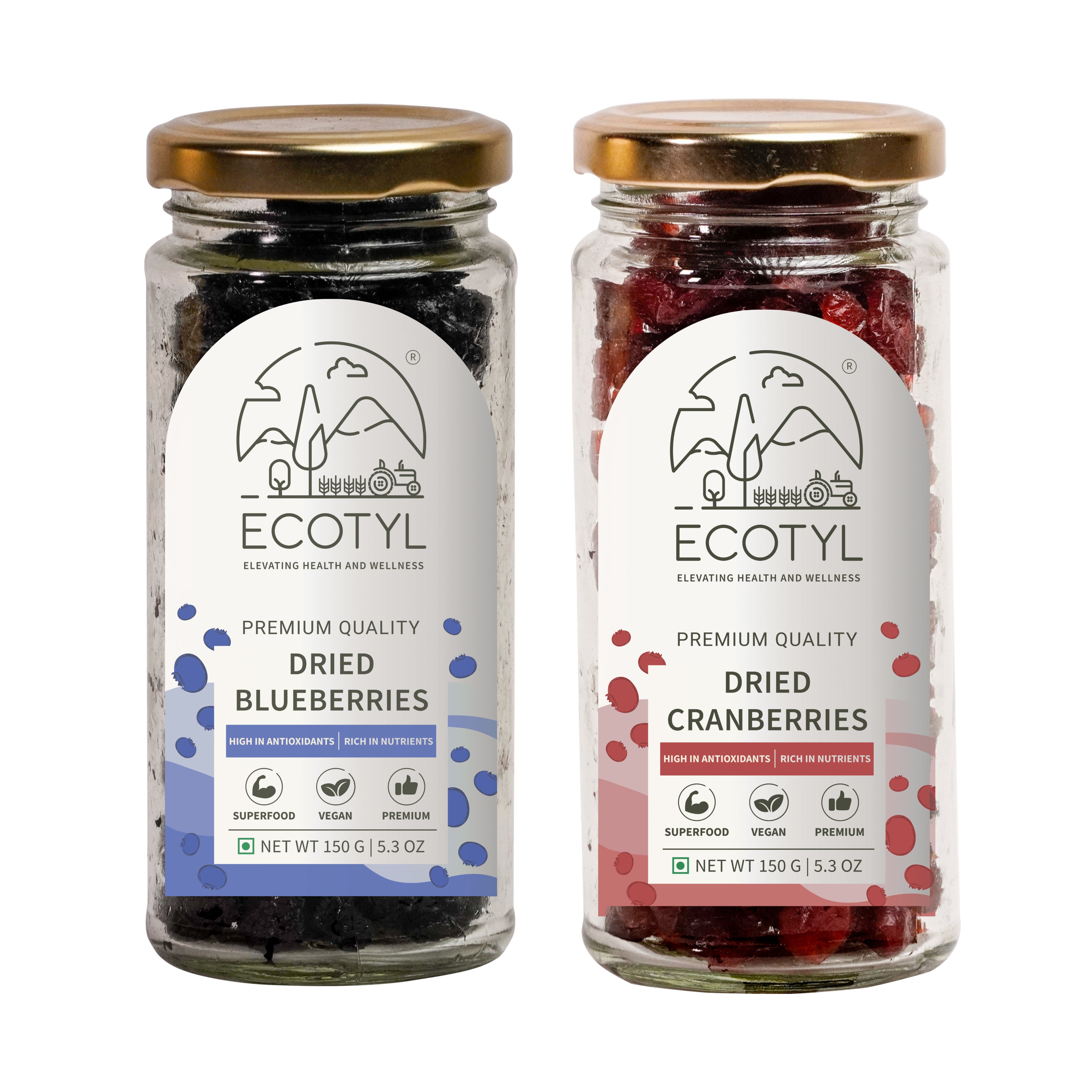 Ecotyl Dried Blueberres & Dried Cranberries Combo | Healthy Snacks | Dried Fruits | 150g Each