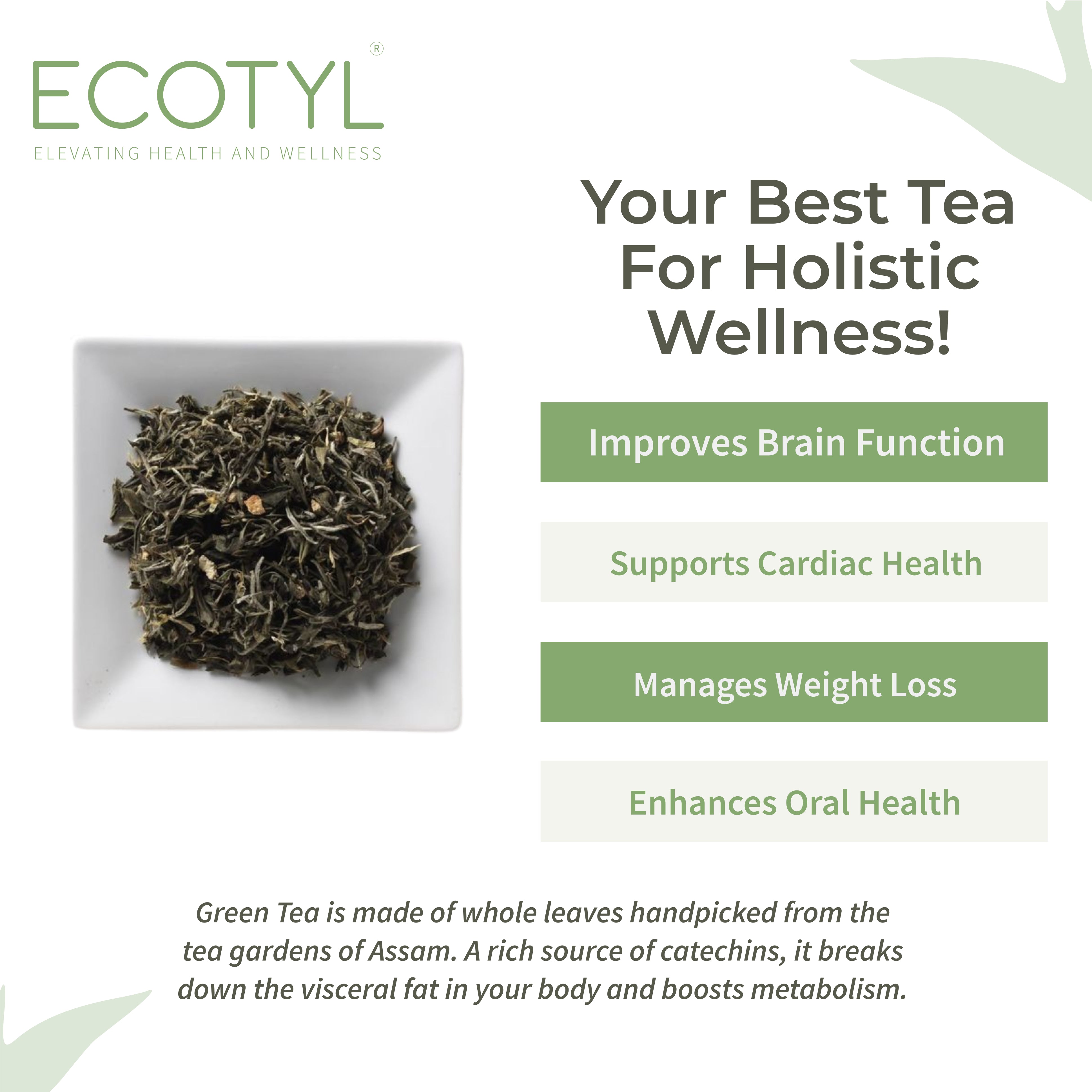Ecotyl Green Tea Leaves | Natural | Handpicked | 180g