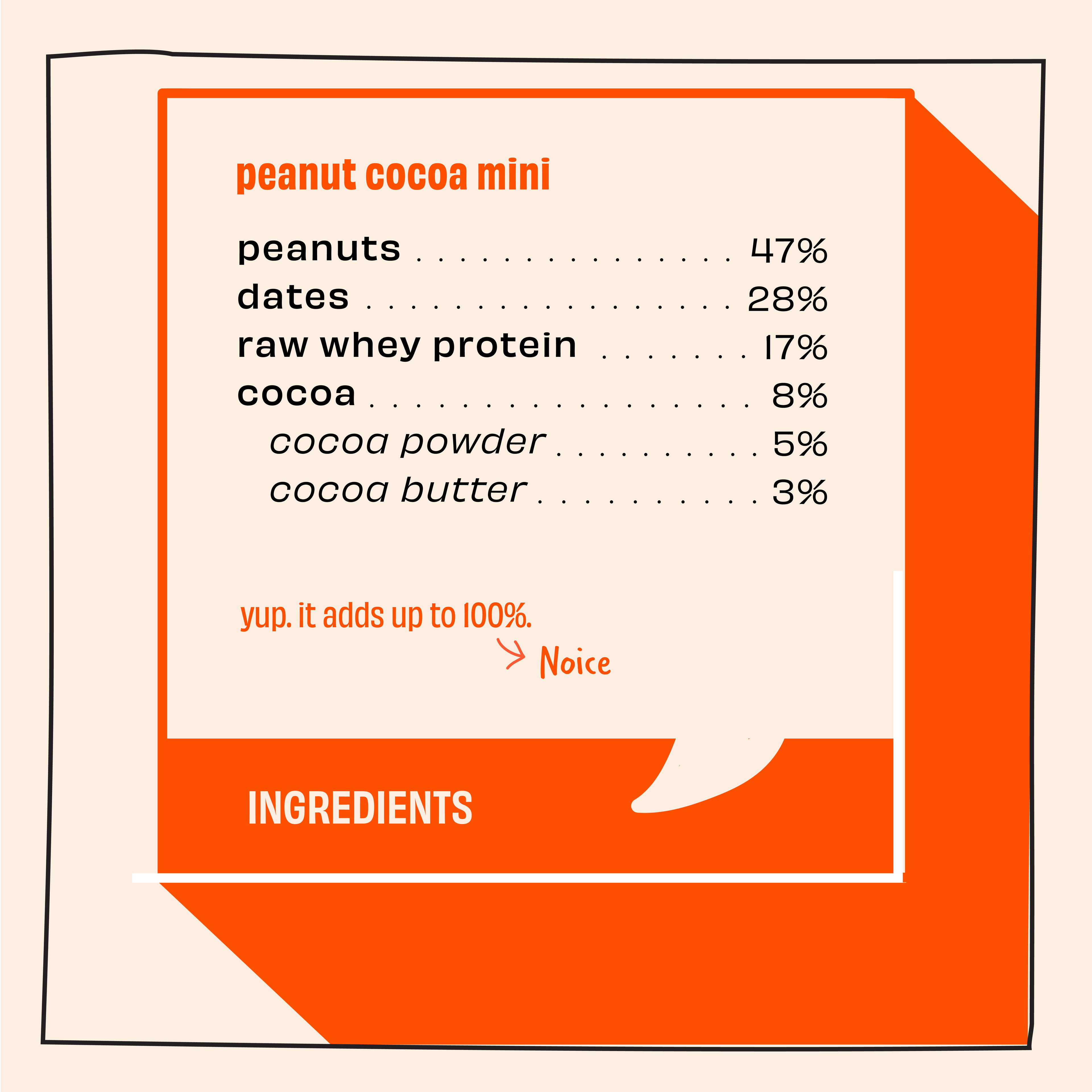 The Whole Truth - Mini Protein Bars - Peanut Cocoa - Pack of 8-8 x 27g - No Added Sugar - All Natural
