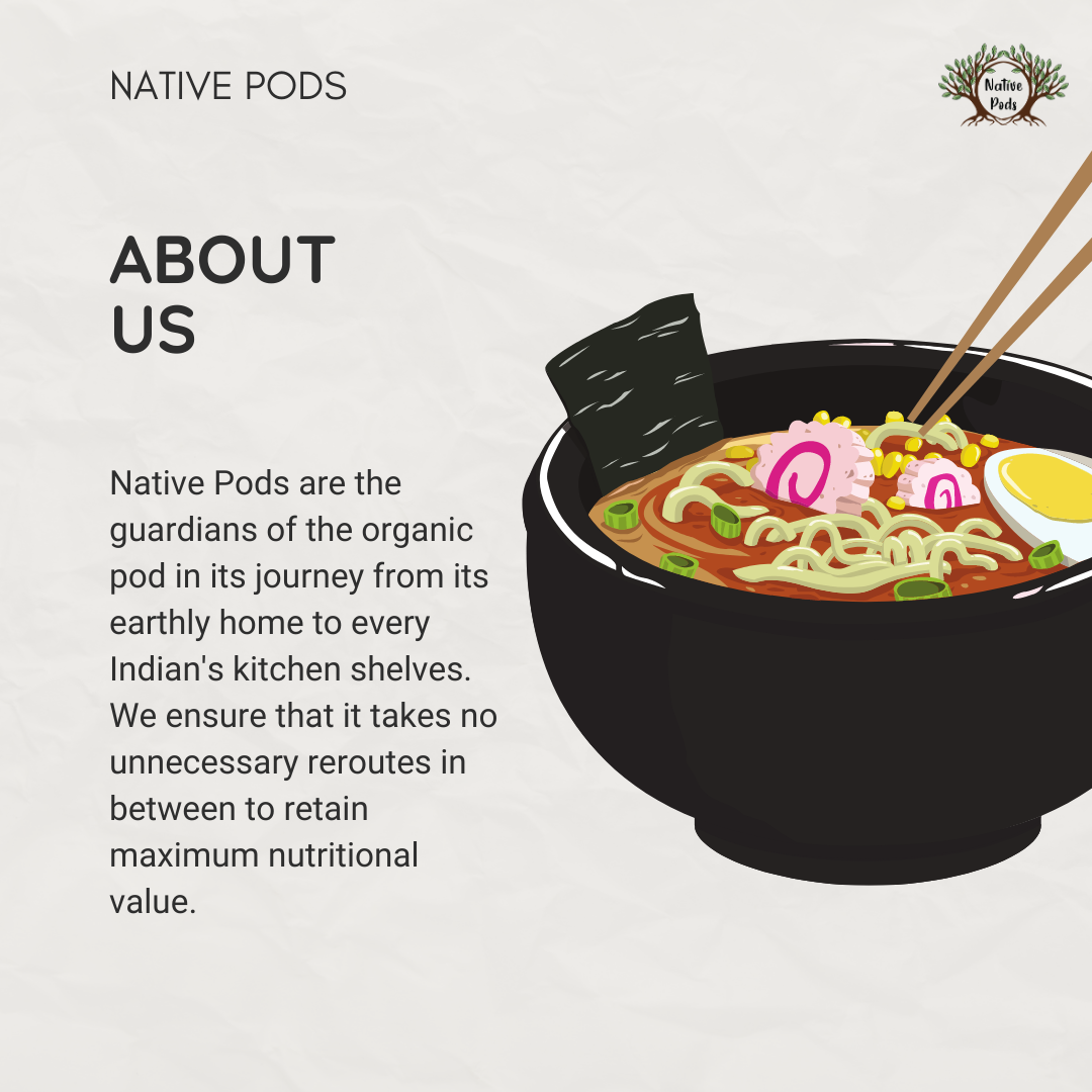 Native Pods Millet Noodles | Not Fried | No MSG | Pack of 2 | 180g X 2 | Foxtail + Multi-millet