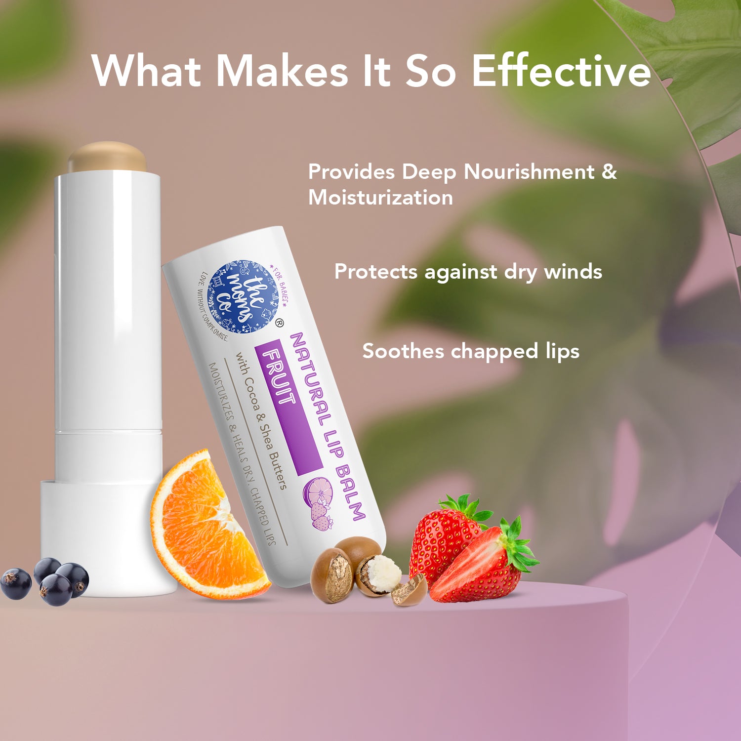 The Moms Co. Natural Lip Balm I Non Sticky I Protects & Nourishes Dry Chapped Lips I Shea & Cocoa Butter( 5gm) (Fruit)