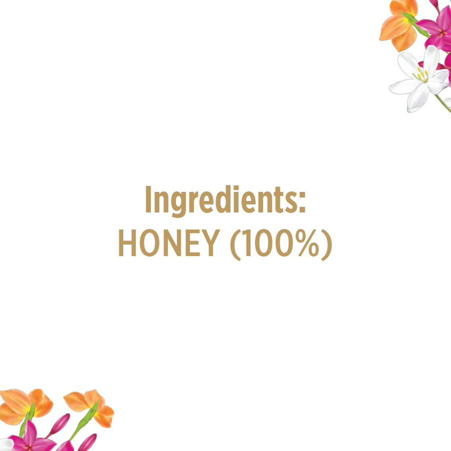 Eatopia 100% Pure Natural Honey Little bee Multifloral Honey | No added Sugar | No Chemicals -250g(sampler pack )