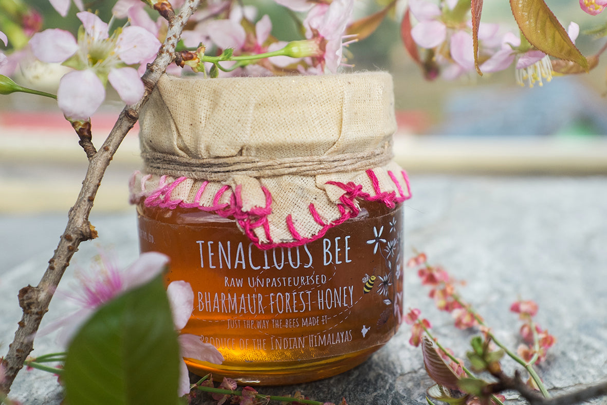 Tenacious Bee Raw Bharmour Forest Honey