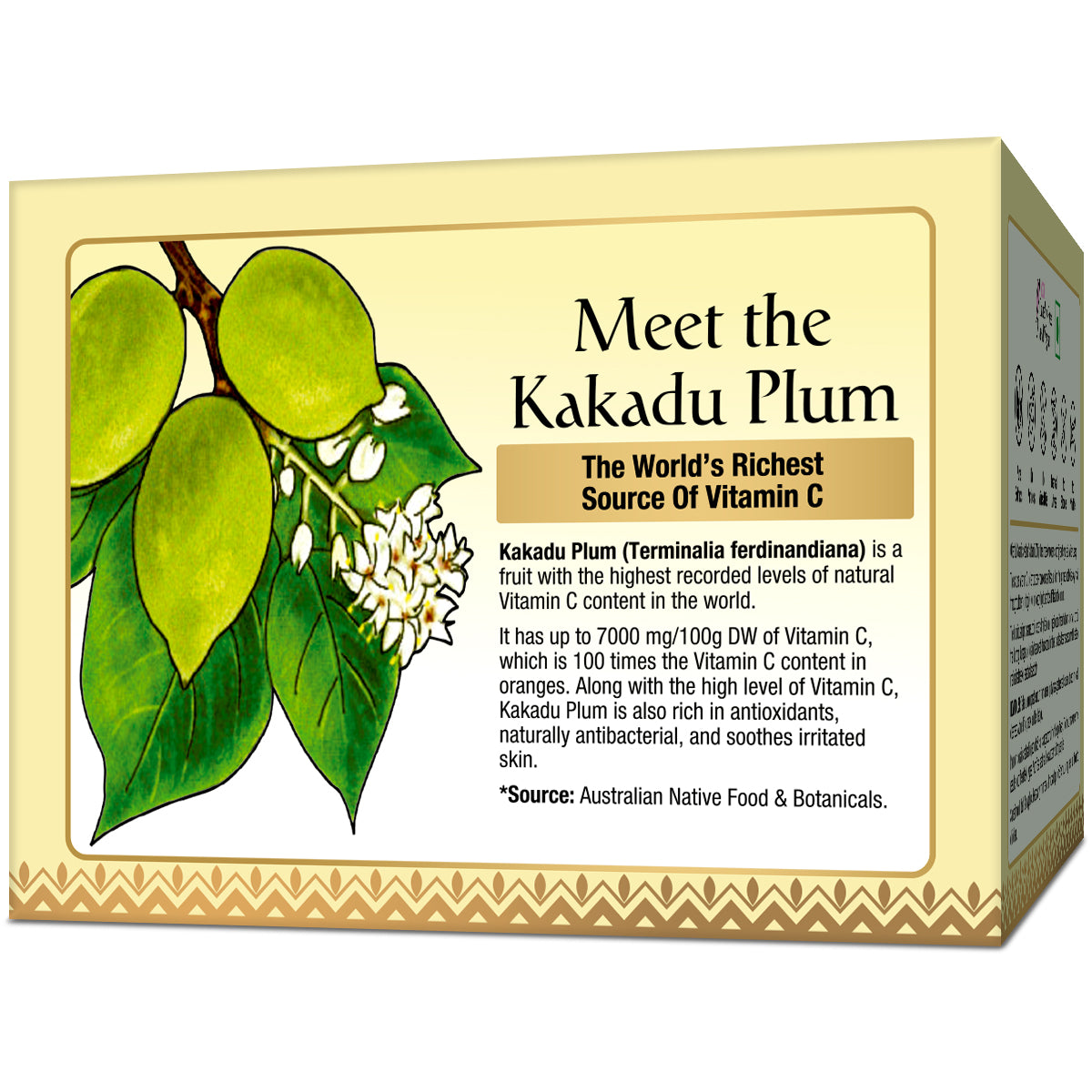 Oriental Botanics Nature's Vitamin C Brightening Face Night Cream - With Kakadu Plum - For Revitalized and Glowing Skin, 50 g