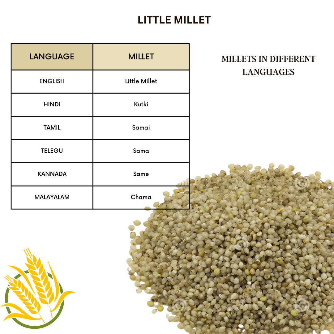Native Pods Little Millet | Kutki | Samai | Unpolished, Natural, Organic, Gluten free