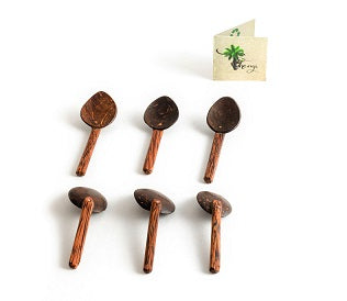 Thenga Coconut Shell Masala Spoon Set of 6 for Small Containers